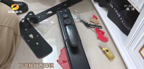 狗太会开锁连换三把智能锁 是狗太聪明还是锁不行